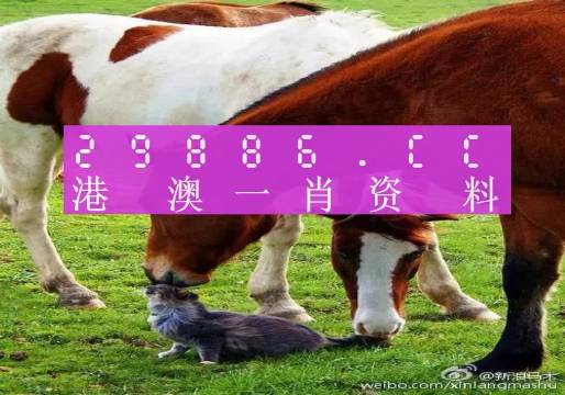 2025新澳一码一特,最佳解答解释落实_mu168.98.89